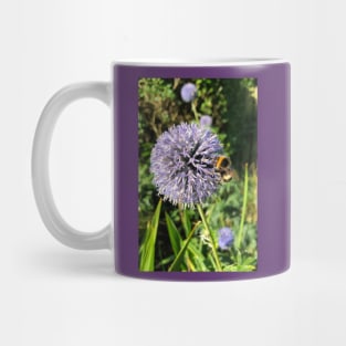 Pollen gathering from a Globe Thistle Mug